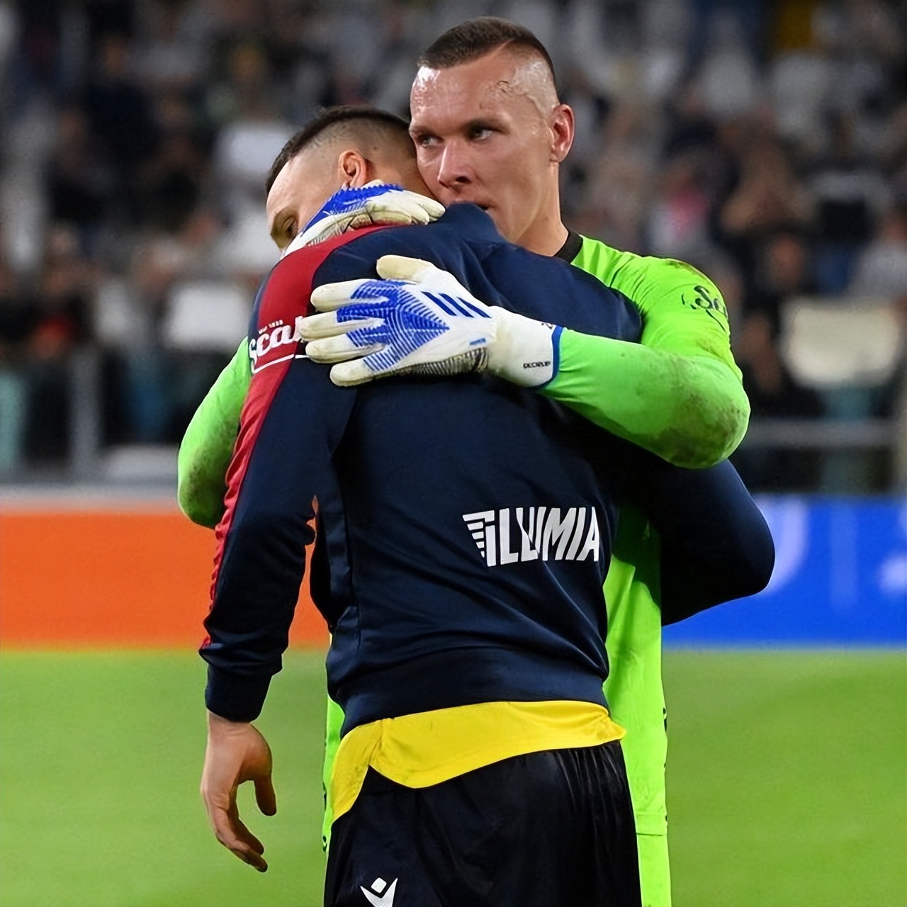 这种多样化 这种多样化